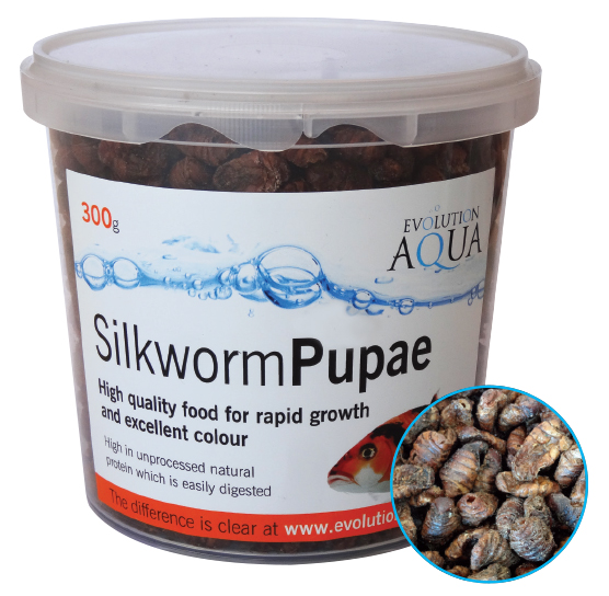 Silkworm