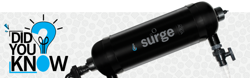 Everything you need to know about Surge.